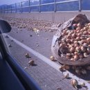 고속도로 휴게소(상주방면) 이미지