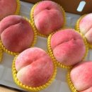 오두농장 이미지