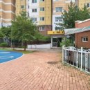 평화피노키오어린이집 이미지