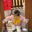 경일공원 이미지