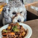 미뇽펫푸드 이미지