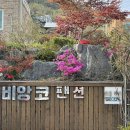비앙코풀펜션 | 영흥도 비앙코풀펜션 다녀 온 내 돈 내산 후기 ✨