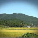 명산오리 이미지