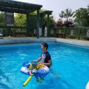 태양팜스 이미지