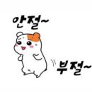 아는수의사 동물병원 이미지