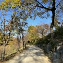 비봉산 의곡사 위(봉황숲) | 가을날의 행복한 산책, 진주 비봉산