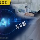 비트시스템 이미지
