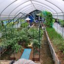 산석진농장 이미지