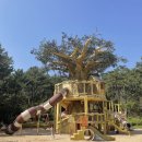 주전몽돌해변3(화장실) 이미지