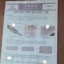 쌍용자동차 구미서비스프라자 네이버블로그