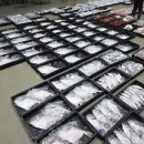 5월22일(금),한객기물때(참돔,백조기,덕자,먹갈치,홍어,잡어 등 5,010 상자 위판) 이미지