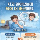 연세이편한치과의원 | 산 마우스피스, 계속 써도 될까요?" (치과의사의 솔직한 조언) | 우면동°양재°과천 연세더편한치과