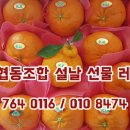 강효승 카카오 검색결과