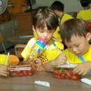 세윤농장 이미지