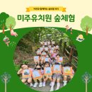미주유치원 이미지
