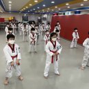 용인대 한라태권도 이미지