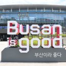 형제돼지 이미지