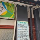 심마니백숙 이미지
