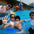 장흥 자연휴양림 이미지