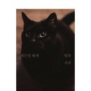 밤의사색 이미지