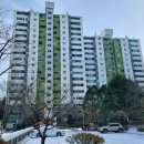 CU 정발산마을점 Daum카페