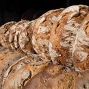 전북국제행정사사무소 이미지