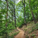 명동호프 이미지