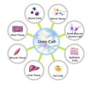 경대셀연합의원 이미지