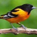 불암체육공원 이미지