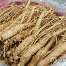 안현농장 이미지