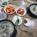 동해순대국 - 속초시 먹거리9길 26 | 속초여행 속초맛집 원조동해순대국 내돈내산 후기
