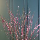 플로리스트(B) 이미지