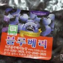 퇴촌블루베리농장
