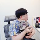 사랑해요동물병원 이미지