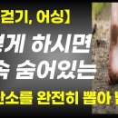 만병의 원흉 활성산소 없애는 최강 비법 / 온 몸에 숨어 있는 활성산소 몽땅 뽑아 냅니다 / 어싱, 생명을 살리는 접속(통합본) 이미지