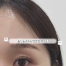 동구시장심야약국 | 가볍고 편한 속눈썹 울산동구속눈썹연장 무드미