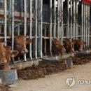 달해농장 이미지
