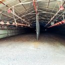 친환경화식농장 이미지