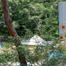 무릉도원자연펜션 이미지