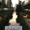 빠숑 이미지