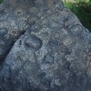 상주 운평리 구상화강암 이미지
