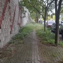 용잠로 40번길 이미지