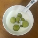 세경약국 | 매일 9시간 자고 밝을 때 2시간 걷고 책 읽다가 전기장판에서 잠들고 싶은 삶....