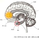 정엽상회