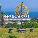 수망리교차로 4 | 서귀포 축제 제주 축제 2026 효돈감귤꽃축제 트멍길