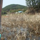 애마여인숙 이미지