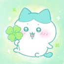 씨유 양주경찰서점 | 2026.02.