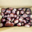 왕축농원 이미지