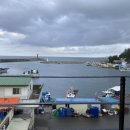 까사콩새 이미지