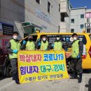 수룡관합기도 이미지